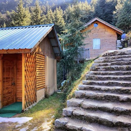 Mid Conifer Cottage ดัลเฮาซี ภายนอก รูปภาพ