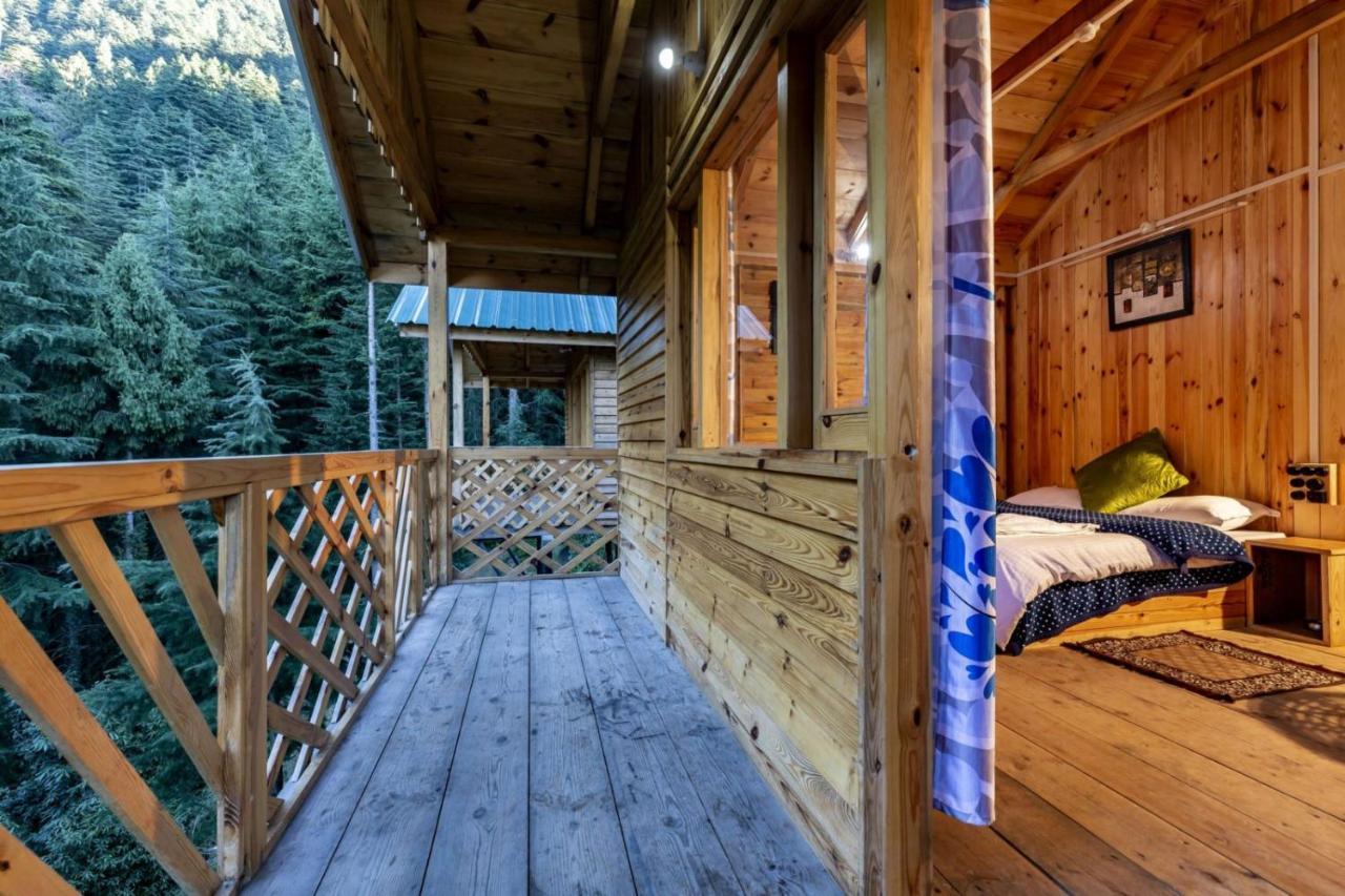 Mid Conifer Cottage ดัลเฮาซี ภายนอก รูปภาพ